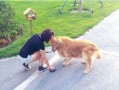 房产达人小狗怎么洗澡（房产达人怎么给狗狗洗澡）