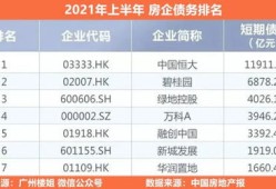 国内房产巨头怎么都负债（中国房企负债排行榜）