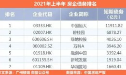 国内房产巨头怎么都负债（中国房企负债排行榜）