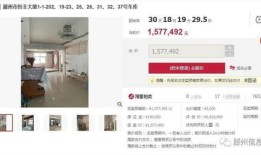 怎么查看自己拍卖的房产（怎么查看自己拍卖的房产价格）