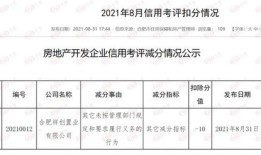 大家怎么分配房产的（家里房产怎么分配）