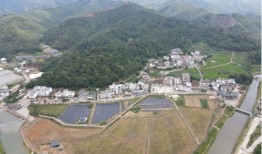 石桥村拆迁怎么分房产（石桥村征地）