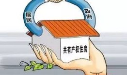有共同份额房产怎么卖掉（共同拥有的房子怎么卖）
