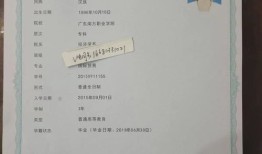 房产小学学籍怎么查（如何查房产对应小学学位）