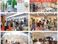 抢房产视频文案怎么写（抢房视频全过程）