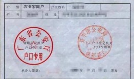 集体户口怎么转入房产（集体户口怎么转入房产公司）