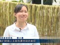 裁员国企房产怎么处理好（裁员国企房产怎么处理好呢）