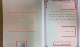 房产怎么分房源的真假（怎么分房产证的真假）