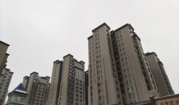 华凌集团房产怎么样（华凌房产是大公司吗）