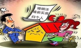 婚前债务房产婚后怎么分（婚前欠的债务结婚后算共同债务,房子怎么算）
