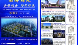 怎么发房产传单最有效（房产传单派发技巧）