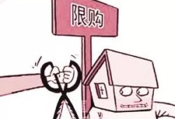 老人房产怎么转让给子女（老人房产怎么转让给子女呢）