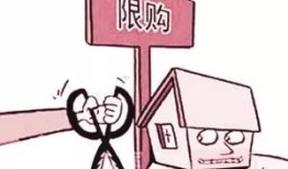 老人房产怎么转让给子女（老人房产怎么转让给子女呢）