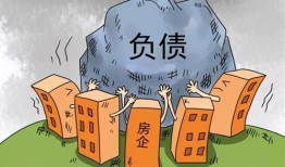 没有房产怎么债务优化（欠债人没有房产该怎么办）