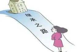房产继承的财产怎么分割（房产继承权怎么分配）