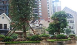 海珠保利房产怎么样（海珠保利花园怎么样）