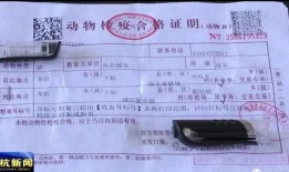 浙江怎么查房产证（怎么在浙里办查房产证）