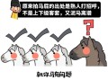 拍户外房产视频怎么拍（如何拍房产室内视频）