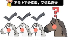 拍户外房产视频怎么拍（如何拍房产室内视频）