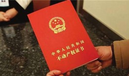 老汉卖掉房产怎么办（老头卖房一堆房产证）