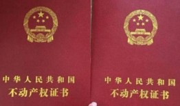 房产自愿过户怎么过户（房产自愿过户怎么过户的）