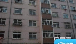 锦虹房产怎么样（锦虹集团）