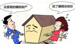 父母房产分割书怎么写（父母房产如何分割,怎么写）