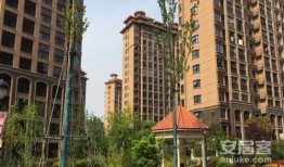 乐平凤凰房产怎么样（乐平凤凰城房价多少）