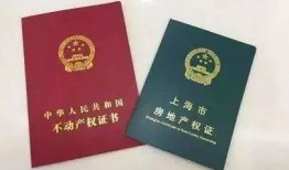 房产证份额怎么约定（房产证份额约定在哪里办）
