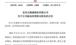 房产经理离职怎么说（房产经理离职怎么说理由）