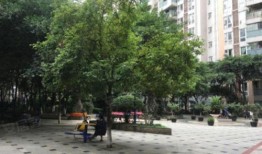 朝阳房产工资怎么样（朝阳房地产中介招聘信息）
