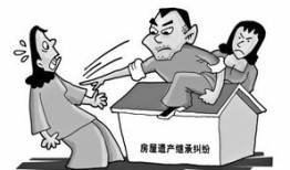 房产纠纷继承怎么写（房屋产权继承纠纷）