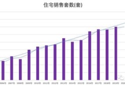 房产破产数量统计怎么查（破产 房产）