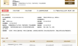 现在房产企业消息怎么查（房企查询）
