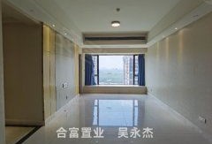 琶洲房产怎么样（琶洲楼盘房价多少）