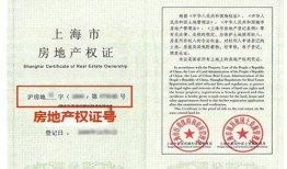 当地房产税怎么查（当地房产税怎么查缴纳情况）