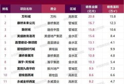 房产租赁怎么带客户进去（销售房租怎么带人看）