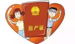 房产纠纷评论怎么写好（房产纠纷模板）