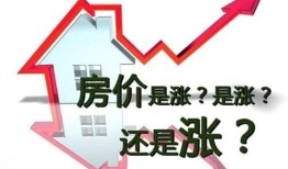 房产指导价怎么查（房产指导价怎么算）