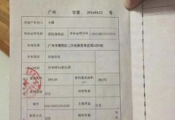 大庆房产证明怎么开（大庆房产证办理咨询）