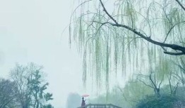 烟雨房产文案短句怎么写（烟雨房产文案短句怎么写图片）