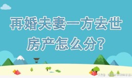 再婚时夫妻房产怎么分（再婚夫妻房产如何分配）