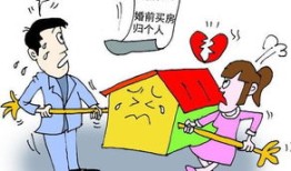 房产法律上怎么分配（房产权怎么分配）
