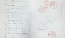 房产资质怎么查看的到（如何查询房地产资质信息）