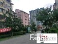 小区怎么拍出房产视频呢（小区拍摄技巧）