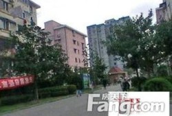 小区怎么拍出房产视频呢（小区拍摄技巧）