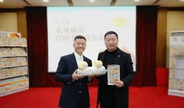 金大洲房产怎么样（金大洲实业）