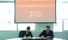 法院拍卖房产怎么挽回（法院拍卖房产怎么挽回的）