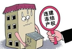 闲置房产问题怎么解决的（闲置房产处置存在的困难）