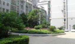长沙新城房产怎么样（长沙新城房价）